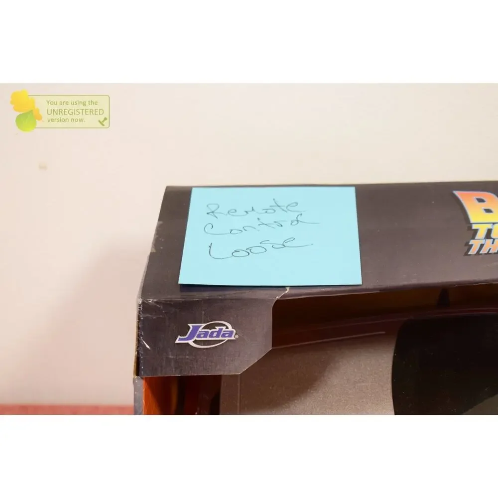 Hollywood Rides RC Back to the Future Time Machine 1:16 Scale